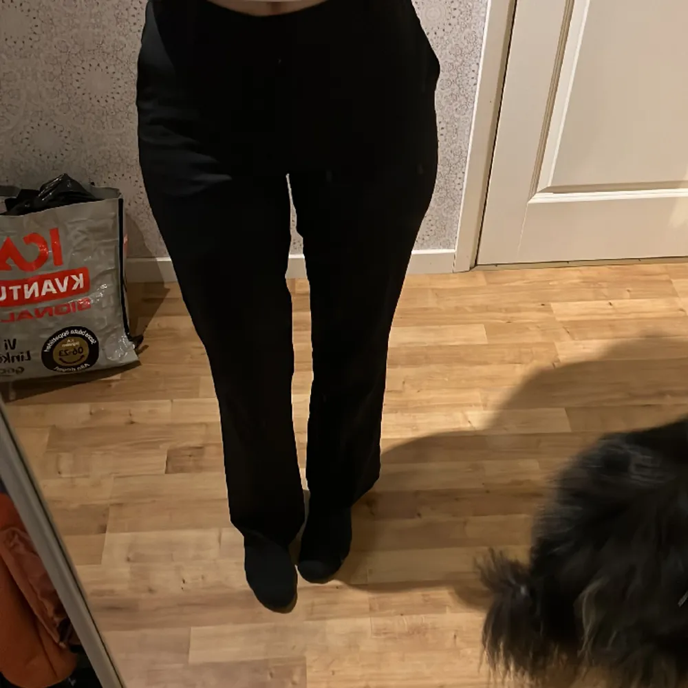 Svarta raka kostymbyxor från bikbok, storlek 36🖤 Jag är 169cm lång! . Jeans & Byxor.