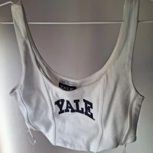Korsett Topp - Topp från zara bara annvönd 1gång. Skönt ä lite tjockare matrial😊 priset e för tröjan å sen + eventuell frakt 