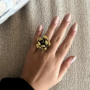 Assnyggg ring (nyskick) - Säljer nu min jätte snygga ring från LÉ ACCESSORIES, super snygg detalj till outfiten. Skriv vid intresse, frågor🤍köparen står får frakten!