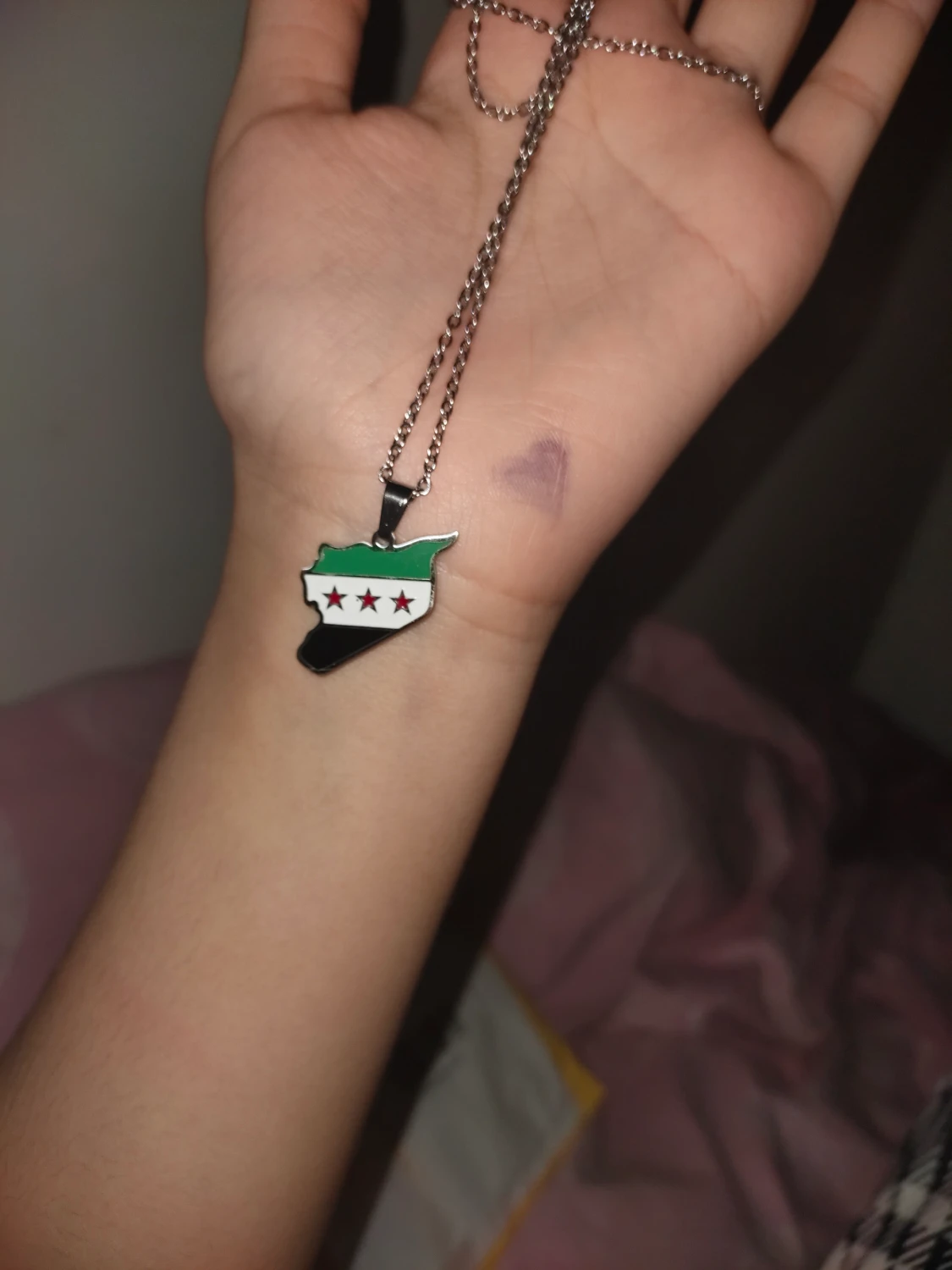 Rostfri Syrien halsband - 90