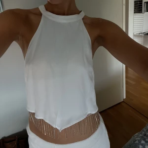 Festtopp - En så så fin Festtopp från Zara, aldrig använd. Magtröja ish med strass undertill som lägger sig väldigt fint. Lite crewneck. Väldigt elegant!!