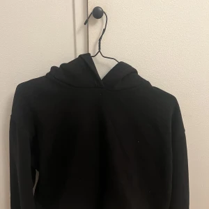 Hoodie✨ - Svart hoodie i nyskick från Zara!! Är i storlek L men är som en M i storleken!! Slutsåld på zara⭐️