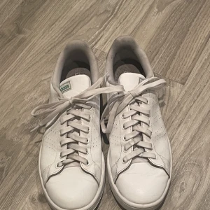 Stan Smith skor - Säljer ett par schyssta skor som inte används! Skick 7,5/10! Om du har några funderingar är det bara att fråga! Mvh Viggo!👍🏼