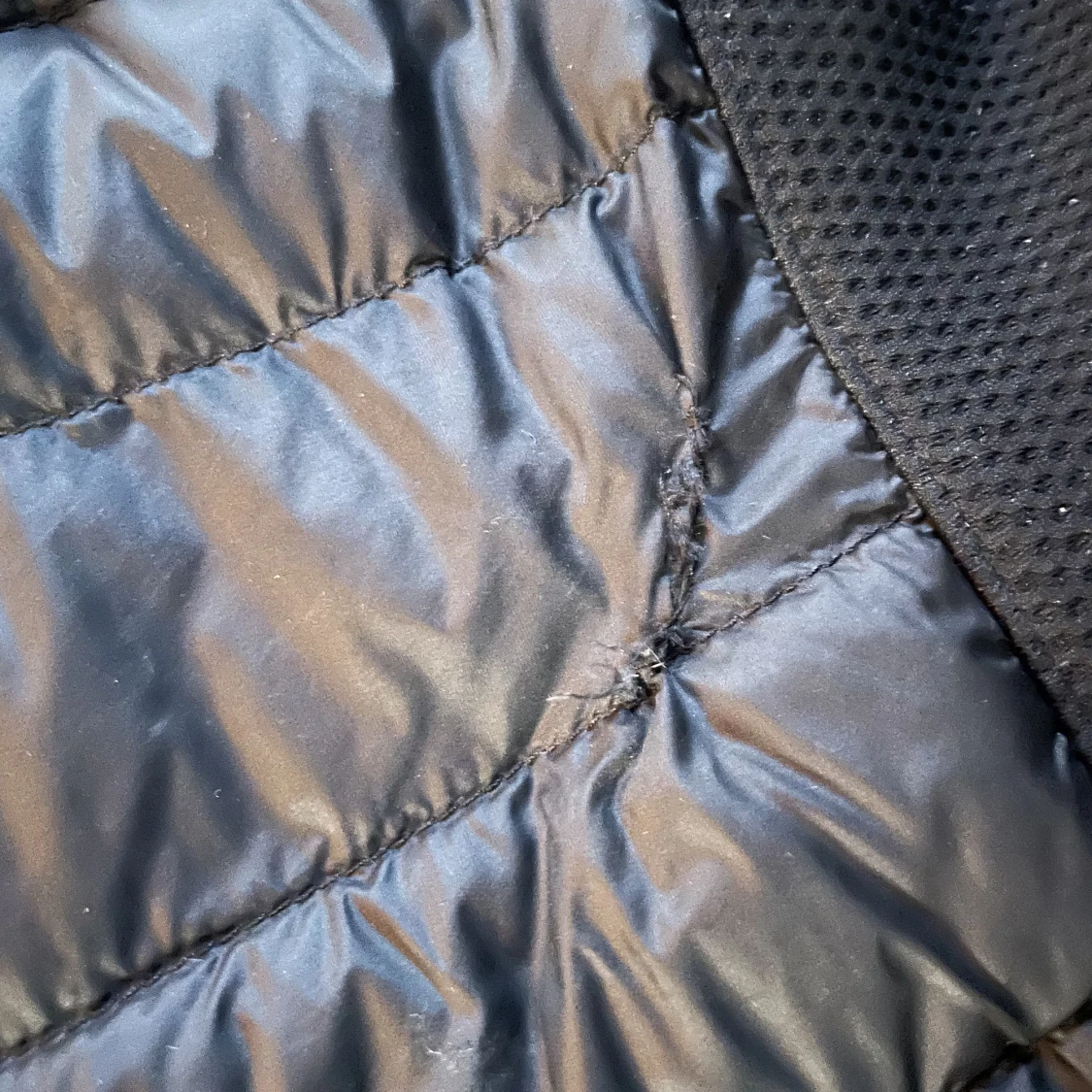 Parajumper cardigan  - 91