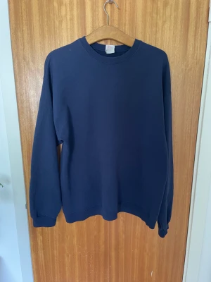 Vintage Hanes Blank Sweatshirt - Säljer denna vintage sweatshirt från Hanes. Sitter snyggt då den är lite mer åt det croppade hållet. Inköpt på Selected Vintage i Uddevalla.