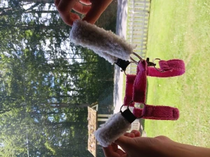 Två grimmor - Grimmor 