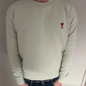 Ami Paris tröja  - Säljer denna Ami Paris tröja åt min bror då den blivit för liten för honom, den har en liten defekt på ena ärmen men inget man lägger märke till när den används. Priset kan diskuteras! 