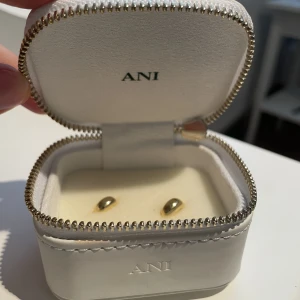 Örhängen från ANI - Helt oanvända örhängen från ANI. Säljes då jag har två par 🤩