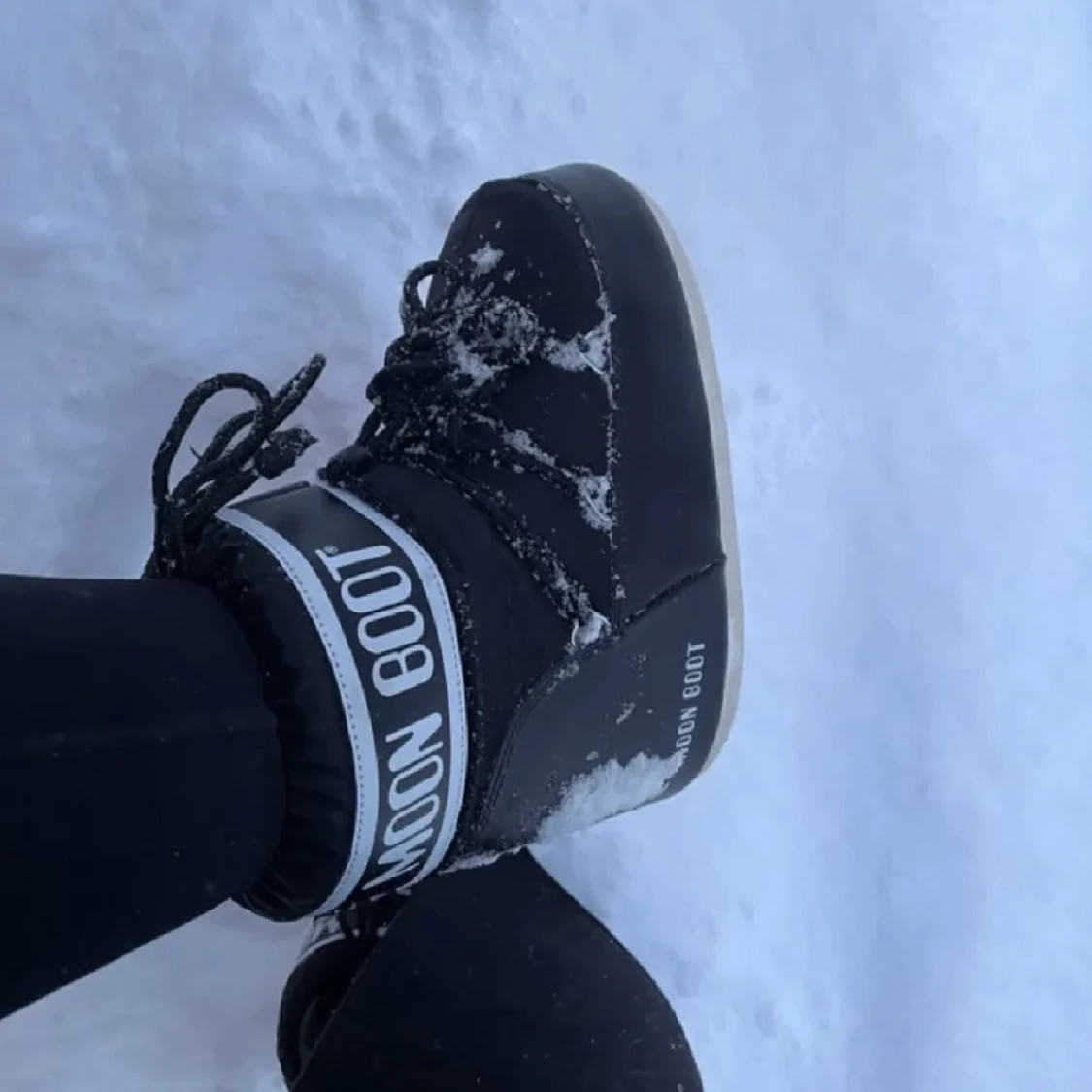 Moon boots 