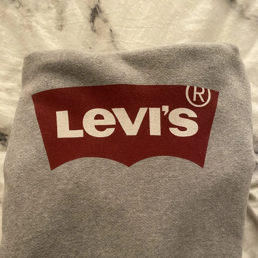 Grå Levis hoodie, inget trasigt eller några fläckar . Hoodies.