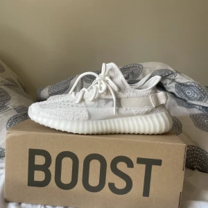Yeezy 350 Bone - Säljer ett par helt nya yeezy oanvända som jag vann från SNS Raffle i storlek 42