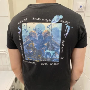 Sökes leylas world t-shirt, stl S - Som rubriken lydet