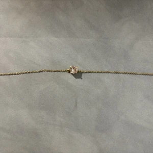 Diamantarmband - Fint armband med en sten och som är pläterad med guld från edblad som inte längre används 