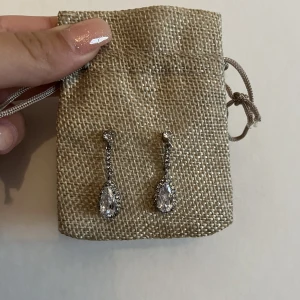 Örhängen  - Frakt 15kr 🥰