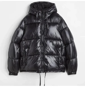 Vinter jacka - Säljer denna jätte fina populära vinterjacka från HM som jag använde lite förra vintern. Ser som ny ut och är slut såld. Säljer pgd att jag har köpt en ny jacka.  Tror ny pris är 549kr