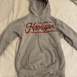 Grå hoodie🤍 - Har typ aldrig använt den och därav säljer jag den. Inga defekter! 