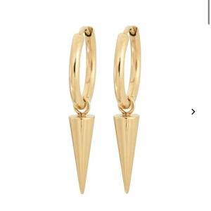 Edblad örhängen  - Kommer inte till användning längre🩷