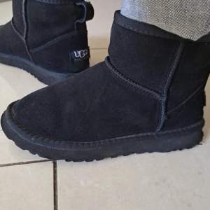 Låga svarta uggs Äkta!  Storlek 36,5 