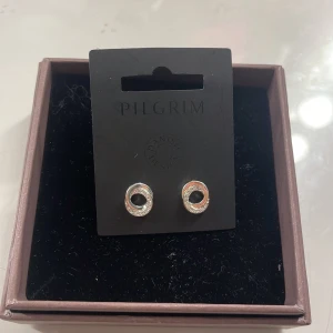 Pilgrim örhängen - Örhängen från pilgrim. Aldrig använda. Köpare står för frakt 