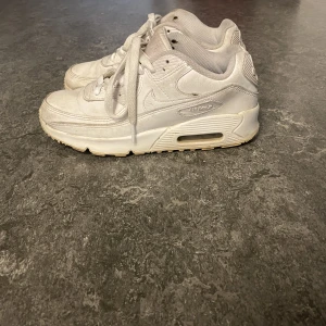 Nike air Max 90 - Bra skick 