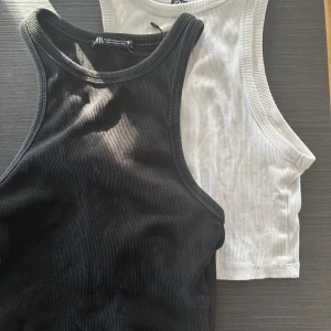 Zaralinnen - Populära zaralinnena köp båda för 50 kr och 1 för 30