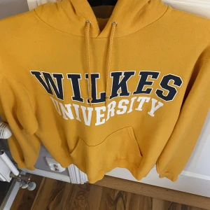 Vintage champion hoodie  - Säljer min vintage hoodie från champion i storlek S. Hör av dig vid frågor!