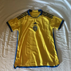 Sverige tröja  - Storlek L köpt på Gothia cup för 999kr. Perfekt till damernas fotbolls wm. 10/10 skick ändats använd 2 ggr. Priset är ej hugget i sten.