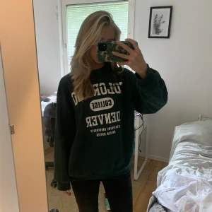 Sweatshirt  - Grön collagetröja