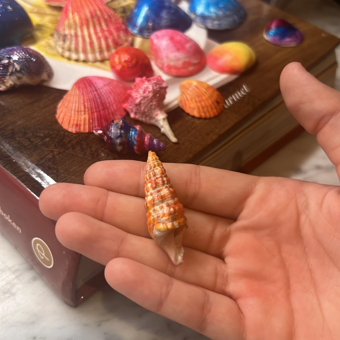 fin orange/gul spiral snäcka❤️🧡💛 - 91