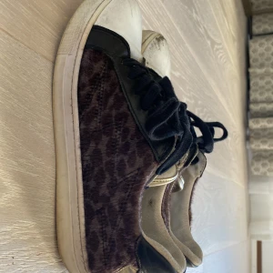 Zadig skor - Ett par Zadig skor.