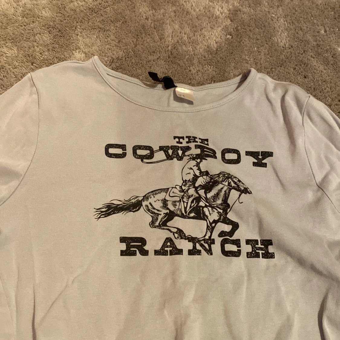 Säljer den här fina ljusblå tröjan. Den har fått en liten rost fläck från vår tvättmaskin, skriv för fler bilder🐻💕