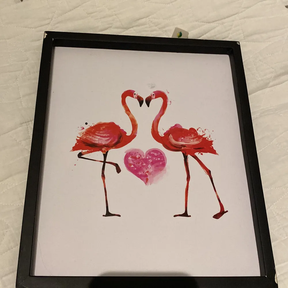 En tavla med två rosa flamingos . Övrigt.