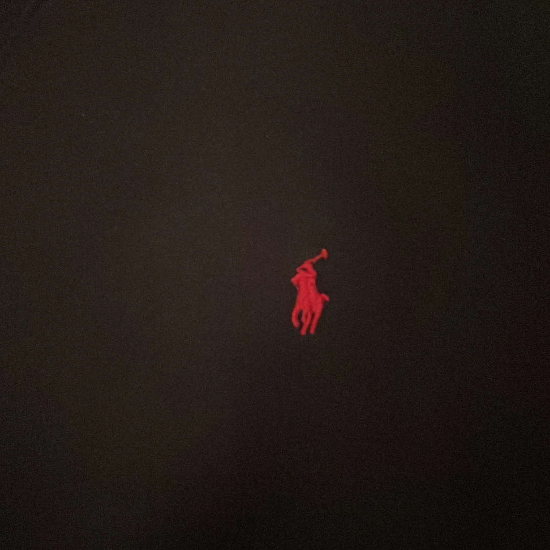 Svart hoodie från Polo Ralph Lauren - 1