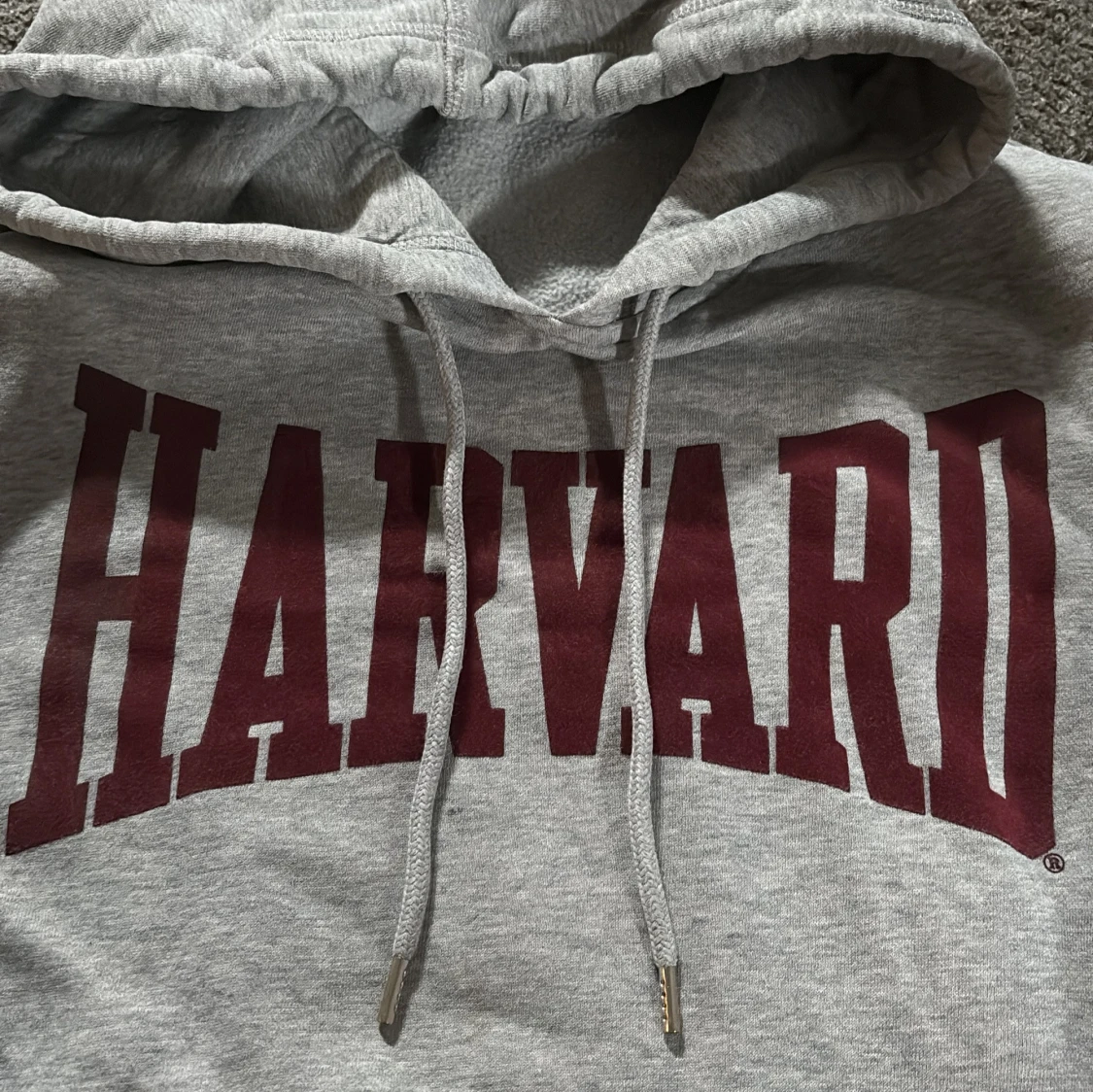 Grå Harvard hoodie med huva - 1