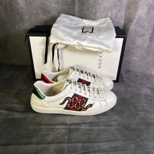 Gucci ace snake - Mycket fint skick | Size uk 8 passar 42  | fraktar spårbart inom 24 timmar |  för att köpa klicka ” köp nu” | vid frågor skriv ett meddelande