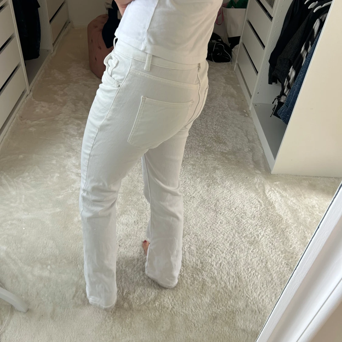 Vita jenas Dobber  - 2