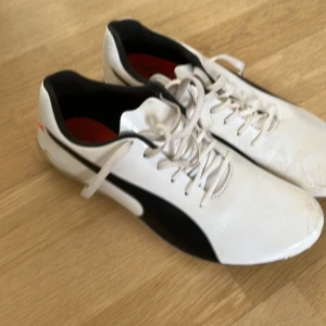 Puma Evospeed Electric löparskor - Snygga Puma Evospeed Electric löparskor med vit ovandel, svarta detaljer och silvrig sula med metallspikar. Perfekta för friidrott och sprint. Färgen har skavts av lite framtill samt bak på hälen men annars mkt bra skick 