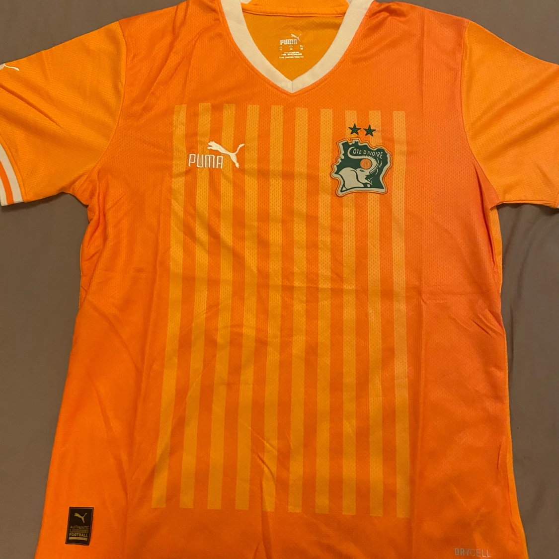 Elfenbenskusten fotbollströja från Puma