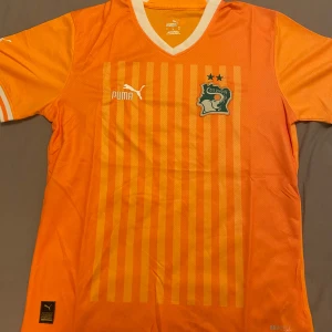 Elfenbenskusten fotbollströja från Puma - Säljer en orange kortärmad Elfenbenskusten fotbollströja.