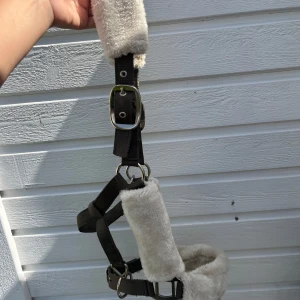 Brunt grimma från Waldhausen med foder - Säljer en grön grimma från Waldhausen med mjukt, ljust foder på flera ställen för extra komfort. Grimman har silvriga spännen och ringar, justerbara remmar och är perfekt för dig som vill ha både stil och funktion till hästen.