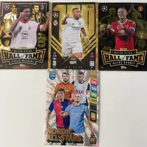 Samling av Match Attax Hall of Fame kort med Paolo Maldini och Wayne Rooney, samt ett FIFA 365 Nordic All Stars kort. Hall of Fame korten är sällsynta och firar legendariska fotbollsspelare med imponerande karriärer i UEFA Champions League. Nordic All Stars kortet har en glittrig design med flera nordiska spelare.