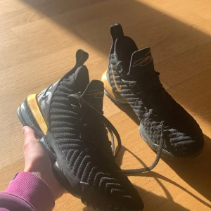 Nike lebron - Tja säljer ett par skor som jag inte använder längre,storlek 42,5 men passar 41