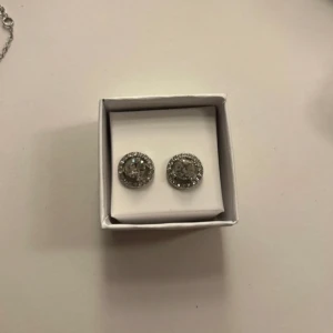 Glittriga silvriga örhängen med stenar - Säljer ett par runda silvriga örhängen med glittrande stenar. De har en stor klar sten i mitten och små stenar runt om som ger extra bling. Perfekta för dig som gillar att sticka ut med lite extra sparkle i vardagen.