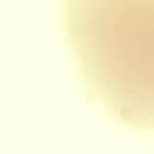 Lanvins - Lanvins åt en kund