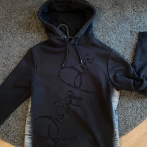 Äkta Philipp Plein Hoodie! - Självklart äkta, Väldigt bra skick, inga defekter förutom några få stenar som ramlat av, inget man ser dock. Extremt snygg köpt för 460€. Många fina detaljer på denna! Pris kan diskuteras