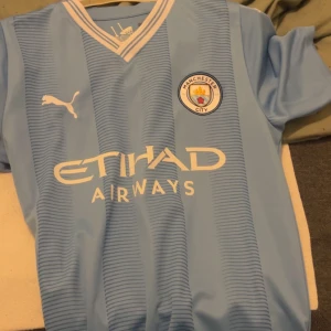 Ljusblå Manchester City fotbollströja från Puma - Säljer en ljusblå Manchester City fotbollströja från Puma med klubbens emblem på bröstet och sponsorlogga på framsidan. Tröjan har korta ärmar och ett subtilt randigt mönster. Perfekt för alla City-fans!