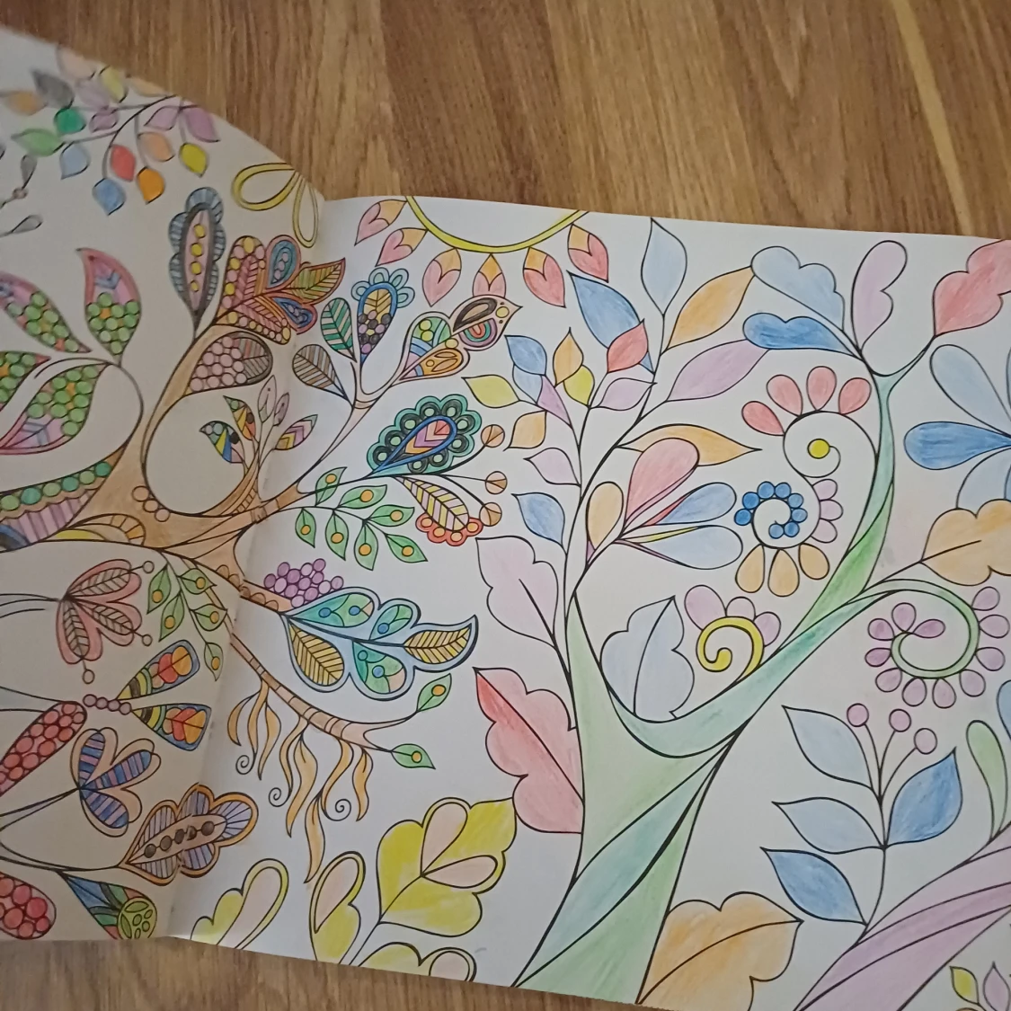 Målarbok - En magisk drömvärld - 3