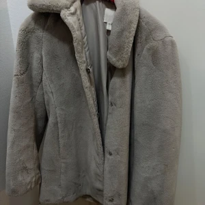 Grå pälsjacka - Säljer en stilren grå pälsjacka från H&M med knappar framtill. Jackan har en klassisk krage och är långärmad.