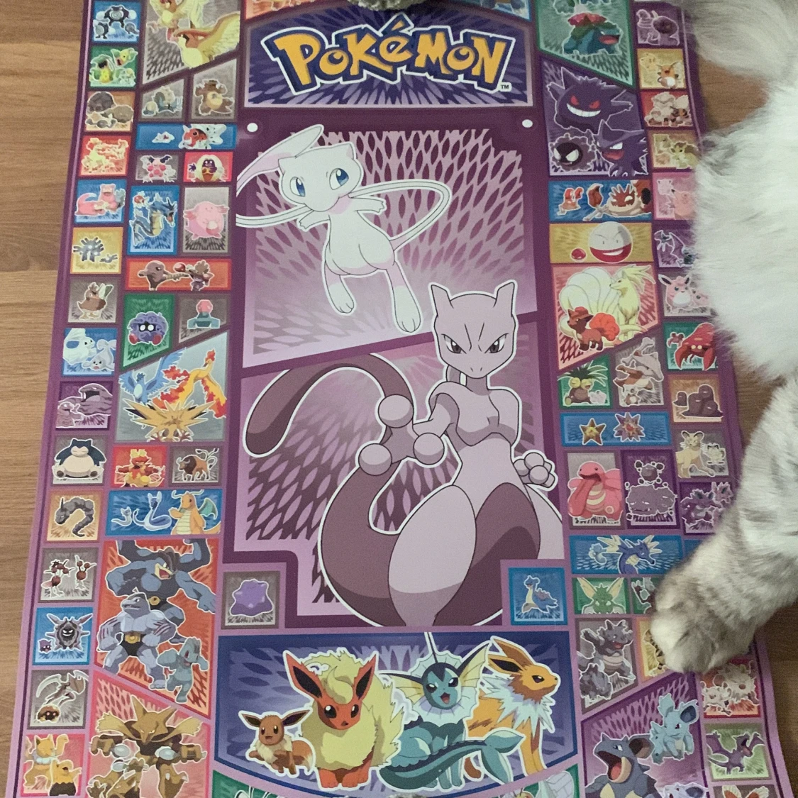 Pokémon- Sällsynt Kanto-Poster (affisch)