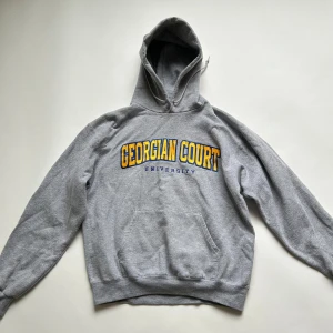 Hoodie Champion - Vintage hoodie från Champion. Storlek M men känns som en XS/S. Okej skick